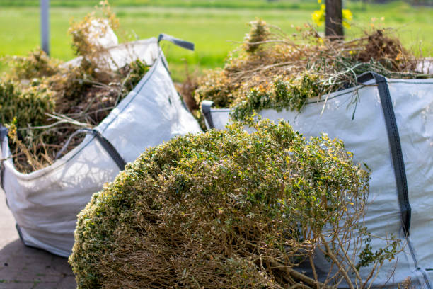 Attic Cleanout Services in Idalou, TX